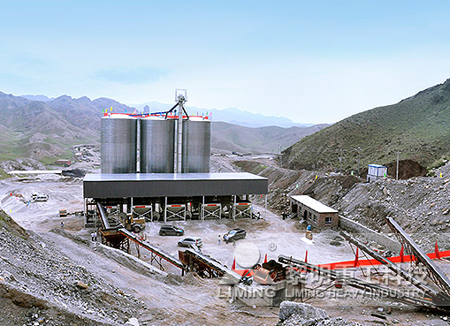 Hebei Shijiazhuang Desulfurization Limestone Powder Preparation Project